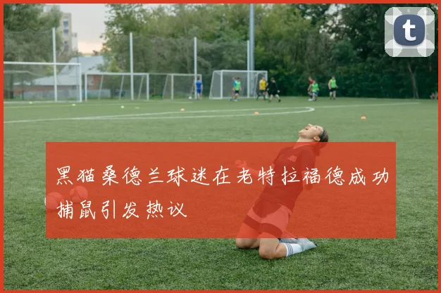 黑猫桑德兰球迷在老特拉福德成功捕鼠引发热议