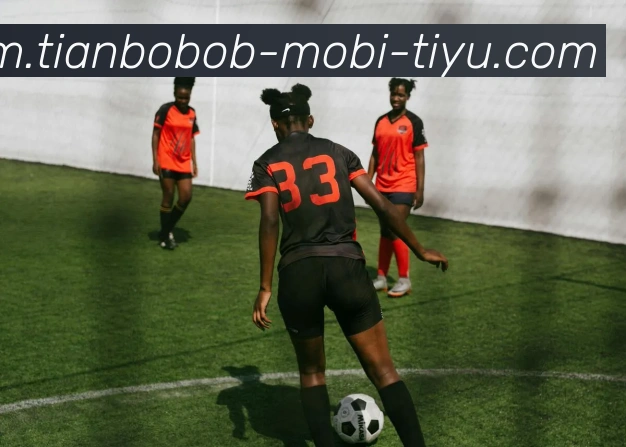 App Interface Preview