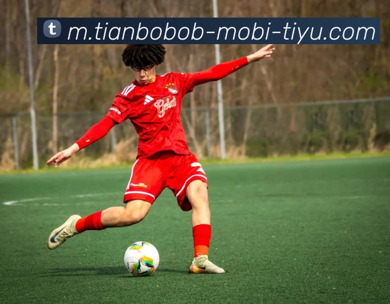 BOB体育APP 封面图